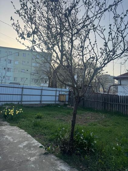 Casă cu 2 camere în Central