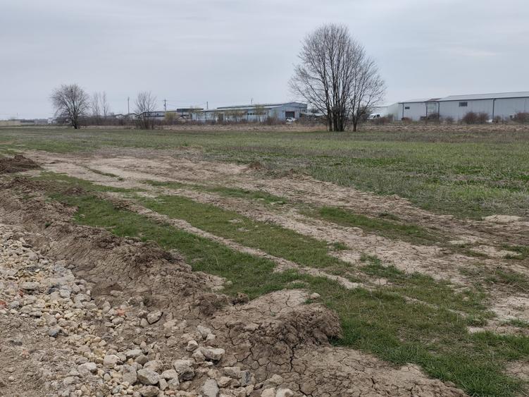 Teren Construcții intravilan de 1500 mp, în Bâcu