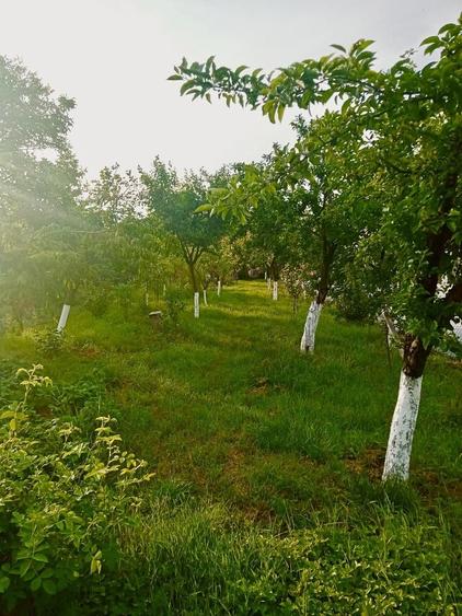 Casă cu 3 camere în Sânmartin
