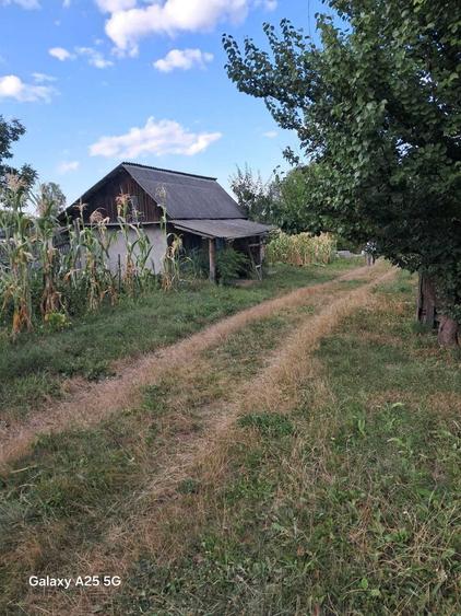 Casă cu 3 camere în Stolniceni-Prăjescu