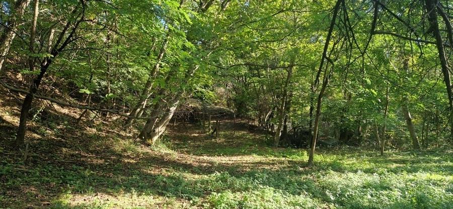 Teren de 3720 mp, în Govora