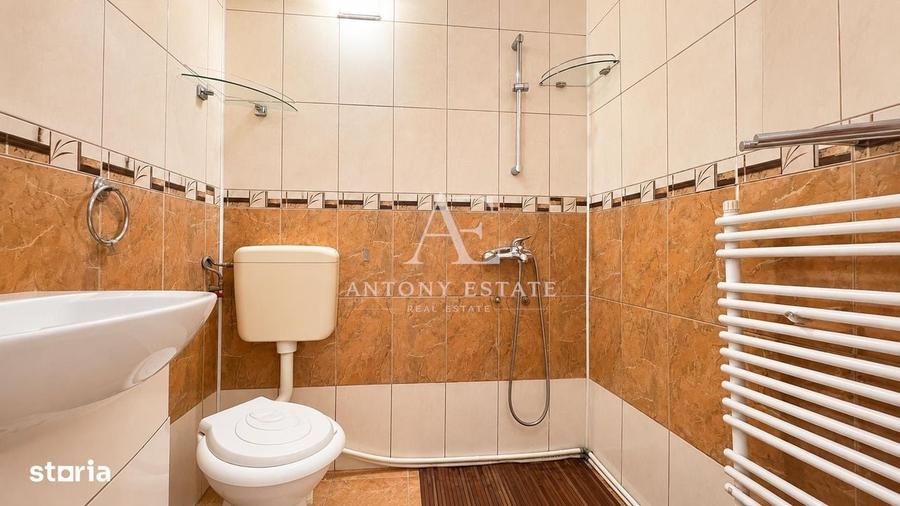 Antony Estate | Ciorogariu Residence, Ultracentral, Roman Ciorogariu, - 3