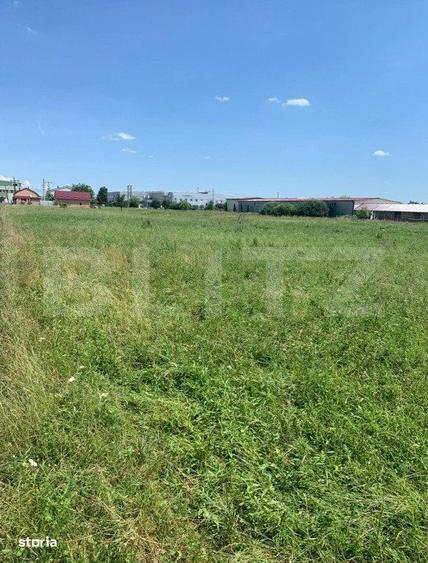 Teren Extravilan de Vanzare 40 Ari Strada Spicului - 3