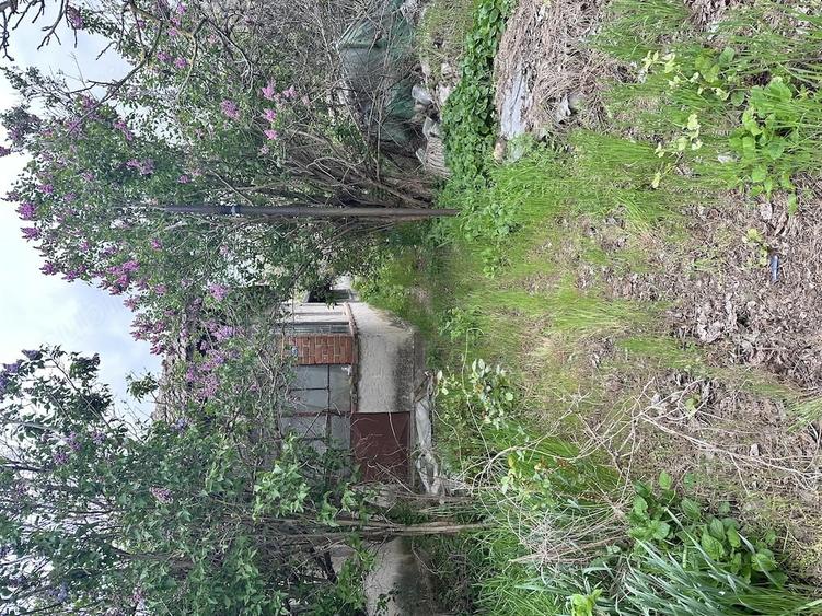 Teren de 2400 mp, în Crivăț