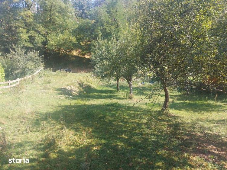 Teren de 1784 mp, în Avram Iancu