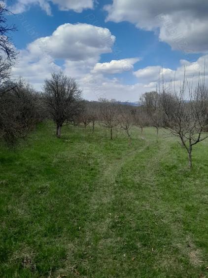 Teren de 2360 mp, în Vaidei