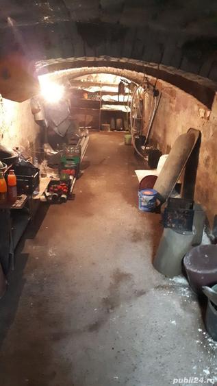 Casă cu 6 camere cu Teren 1000 Mp în Putineiu