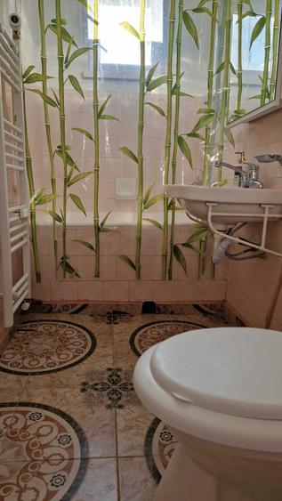 Apartament cu 2 camere în Palazu Mare