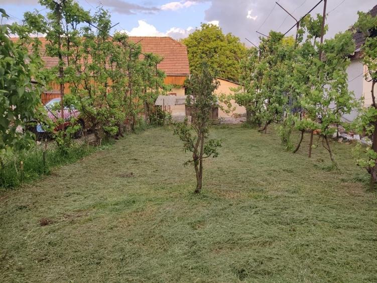 Casă individuală cu 3 camere cu Teren 1850 Mp în Suseni