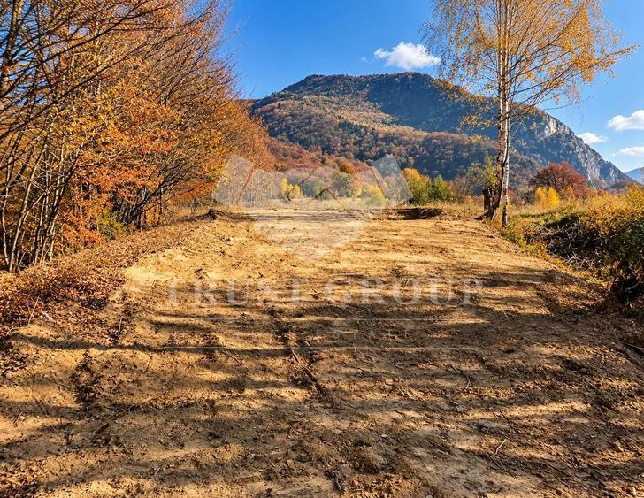 Teren Construcții intravilan de 1300 mp, în Cheia