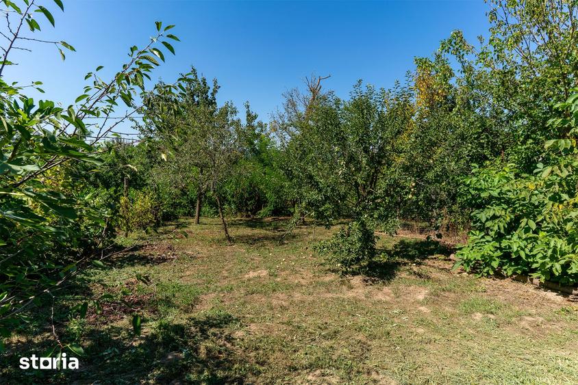 Casă cu 3 camere cu Teren 1019 Mp în Brănișca