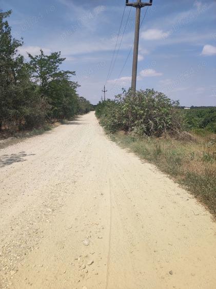 Teren de 900 mp, în Cornetu