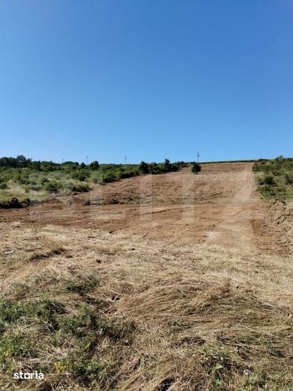 Teren de 10000 mp, în Moara de Vânt