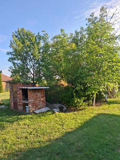 Teren intravilan de 1800 mp, în Viile Satu Mare