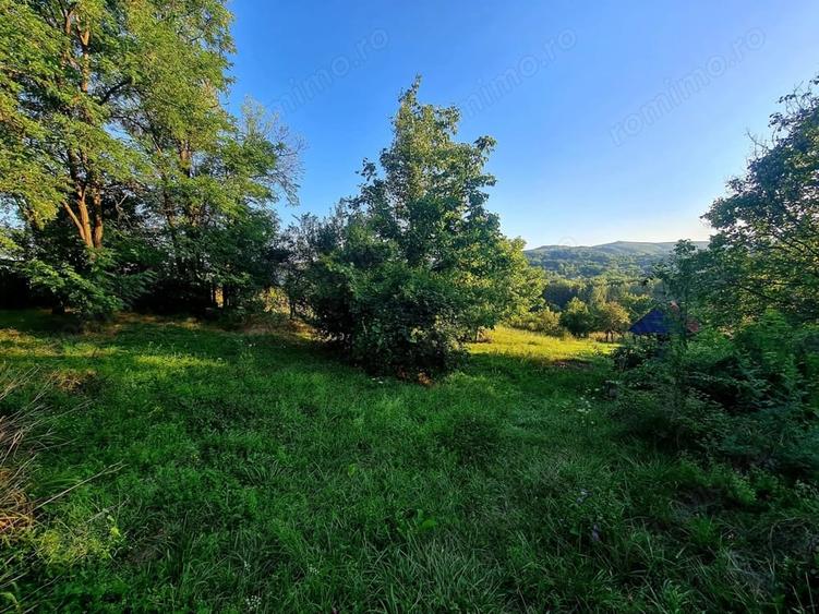 Teren de 3250 mp, în Păușești