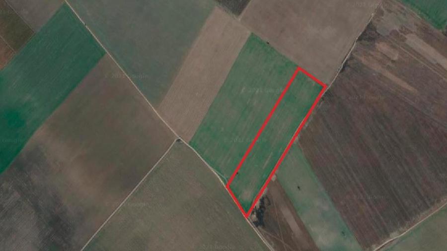 Teren agricol extravilan de 60000 mp, în Central