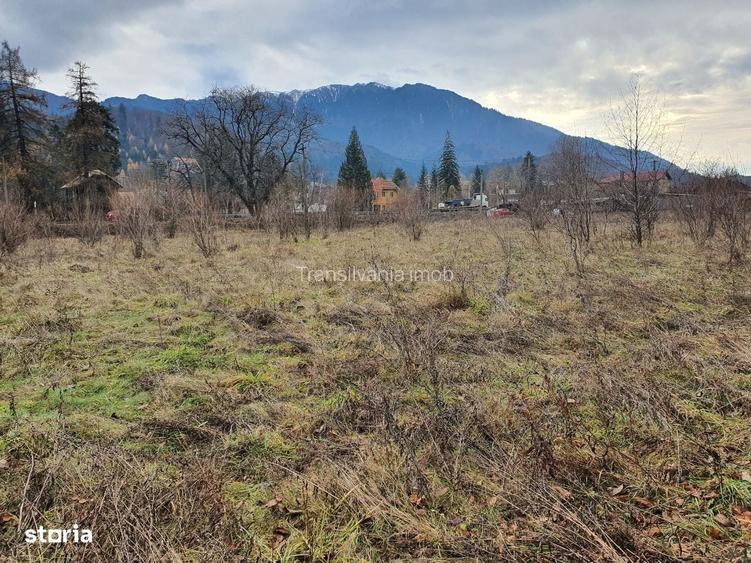 Teren rezidential Timisul de jos Brasov