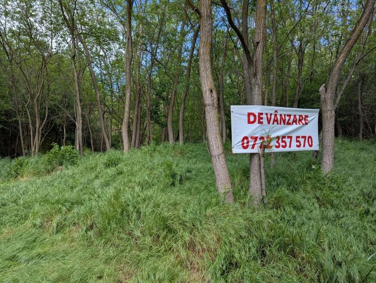 Teren de 3057 mp, în Bujoreni
