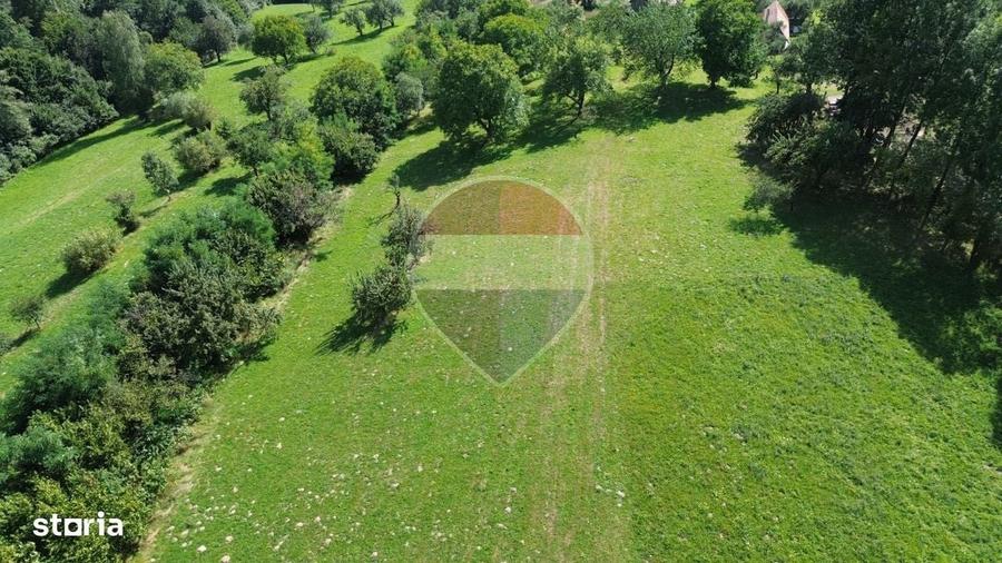 Ocazie! Teren 2885 mp Bran- Predelut / Strada Pe Tarina nr. 70A - 9