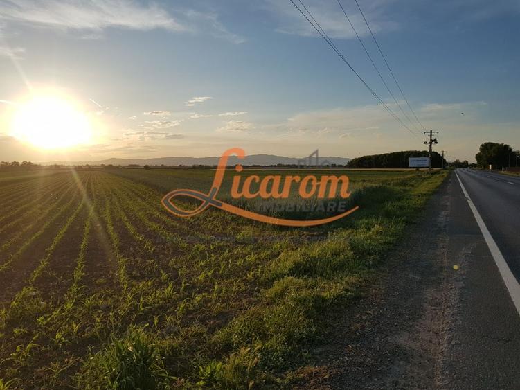 Teren Construcții intravilan de 4600 mp, în Stupini