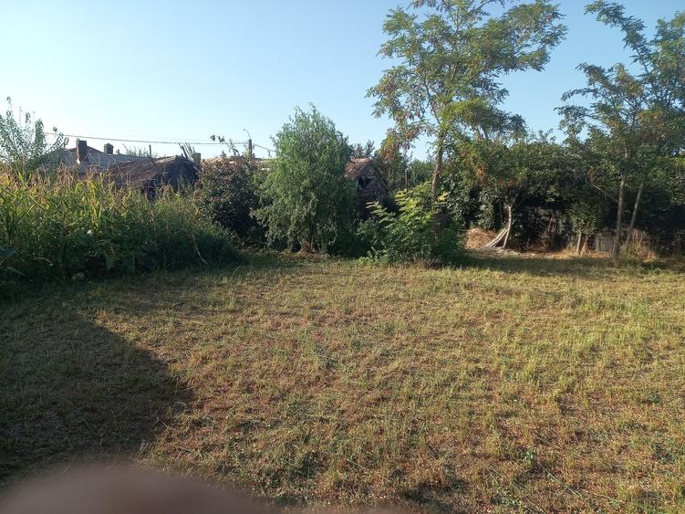 Casă cu 3 camere în Sârbi