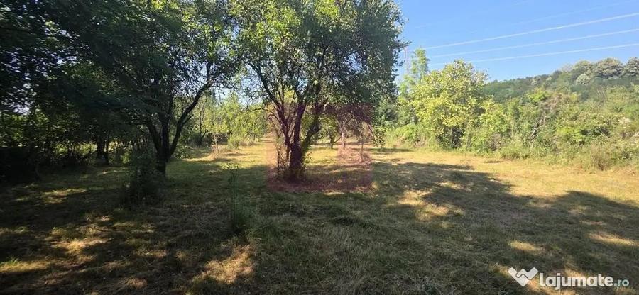 Teren intravilan de vanzare 3375 mp in Brebu - 2