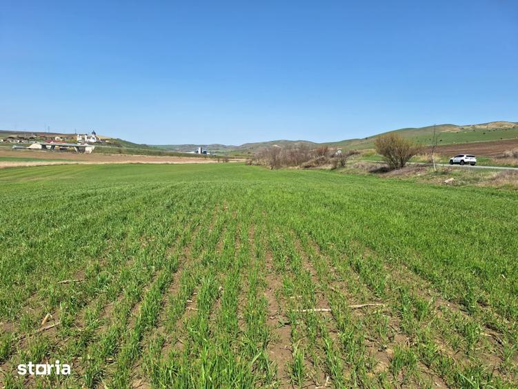 Teren de 52600 mp, în Unirea