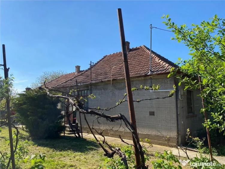 RECO Casa de renovat in Biharia - 12