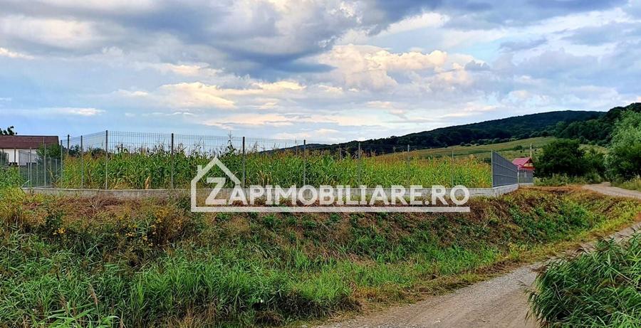 Teren Construcții intravilan de 2500 mp, în Livezeni