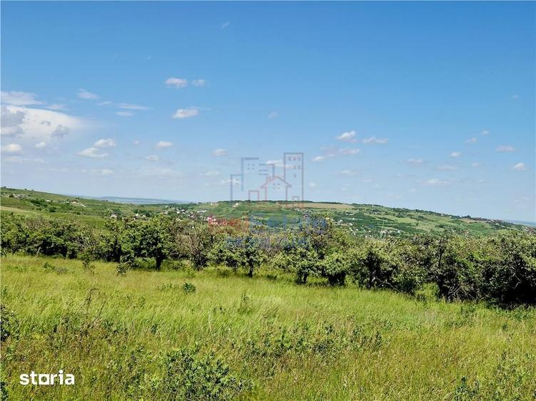 Teren de 800 mp, în Goruni