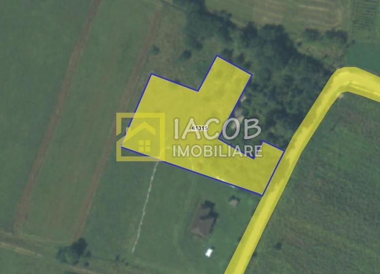 Teren Construcții intravilan de 3350 mp, în Petricica