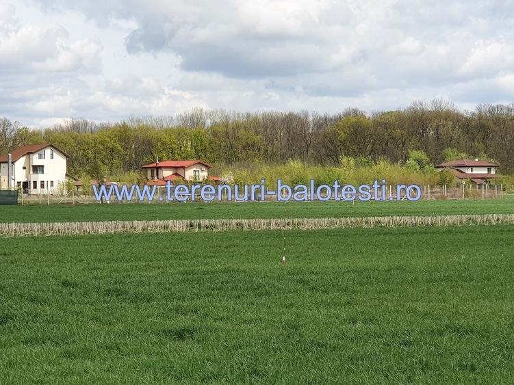 Teren langa padure si aproape utilitati,800 mp,36000 euro - 1