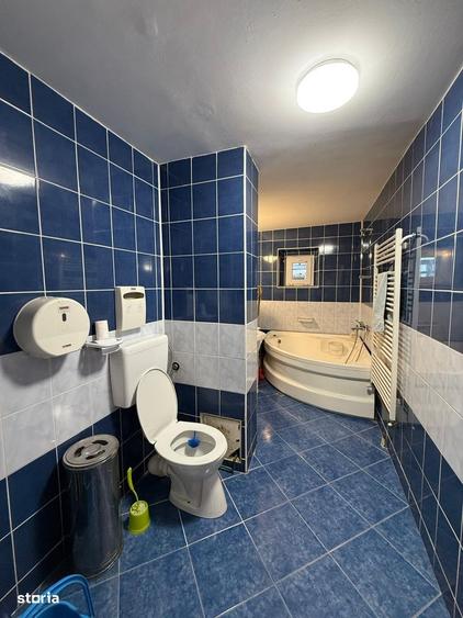 Apartament cu 4 camere, mobilat în Scriitorilor