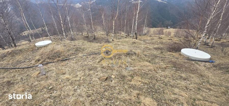 Teren de 2025 mp, în Rășinari