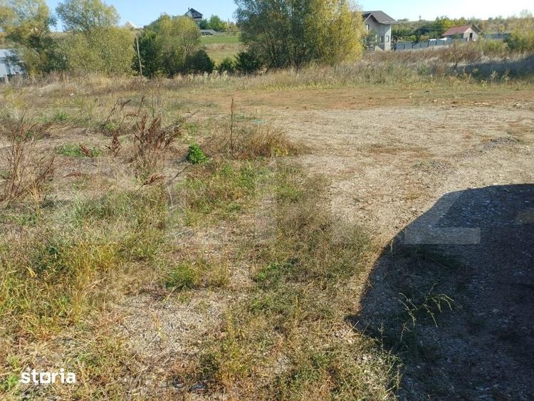 Teren de 3800 mp, în Moara