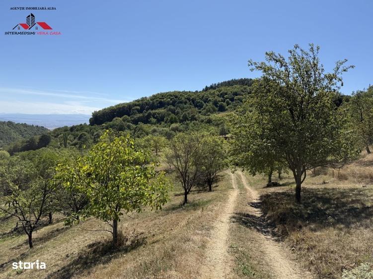 Spațiu comercial, în Valea Vințului