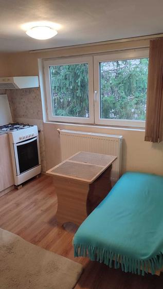 Apartament cu 2 camere semidecomandat în Valea Lupului