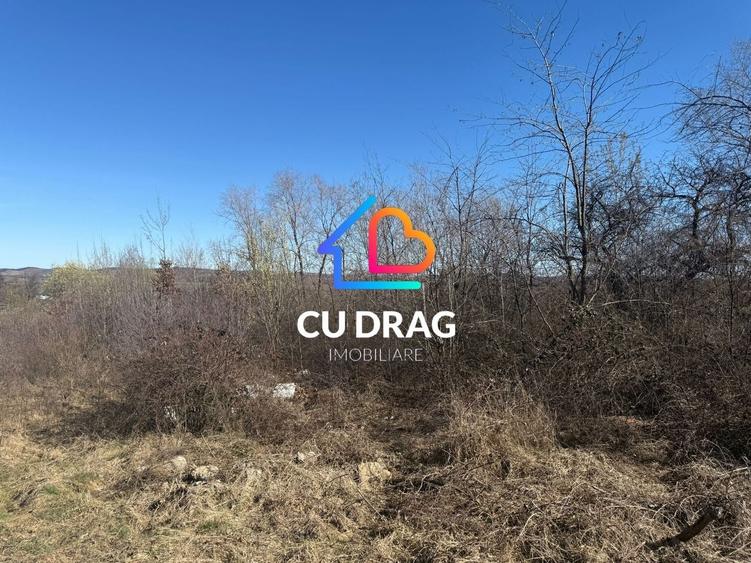 Teren Construcții intravilan de 1000 mp, în Sibiel