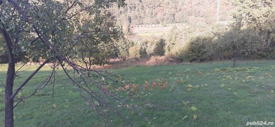 Teren de 3300 mp, în Dobra