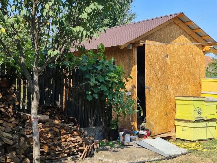 Casă cu 2 camere cu Teren 334 Mp în Vinerea