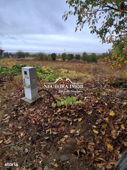 Teren de 676 mp, în Paleu