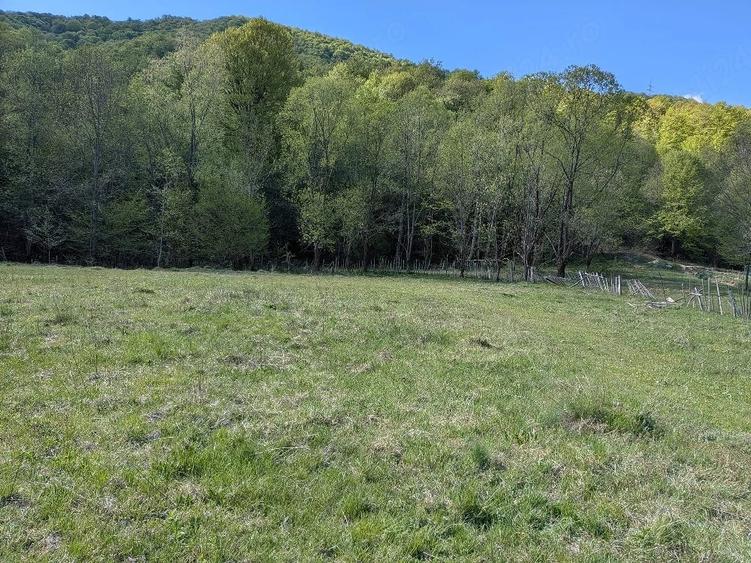Teren de 4342 mp, în Malaia
