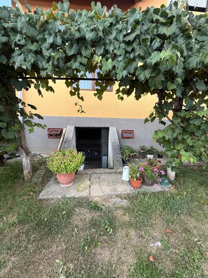 Casă cu 4 camere în Șișești