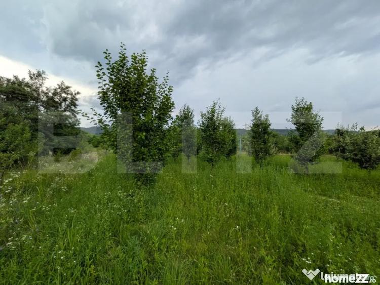 Teren în Voinești