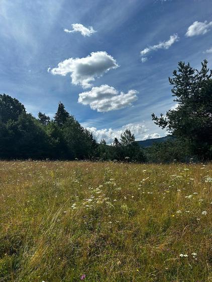 Teren de 5833 mp, în Bistra