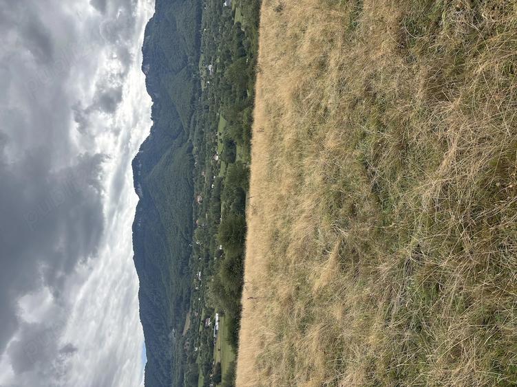 Teren de vanzare 2100 m2 zona Tohanita Zarne?ti - 6