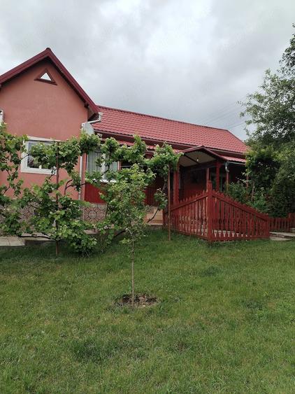 Casă cu 2 camere cu Teren 6000 Mp în Lechincioara