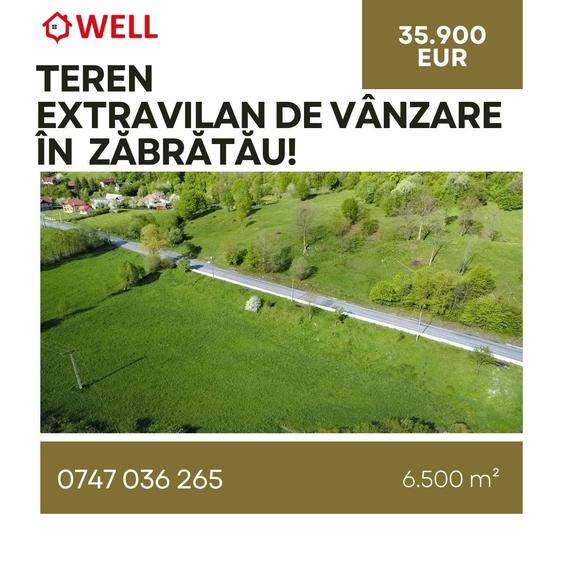 Teren extravilan de 6500 mp, în Zăbrătău