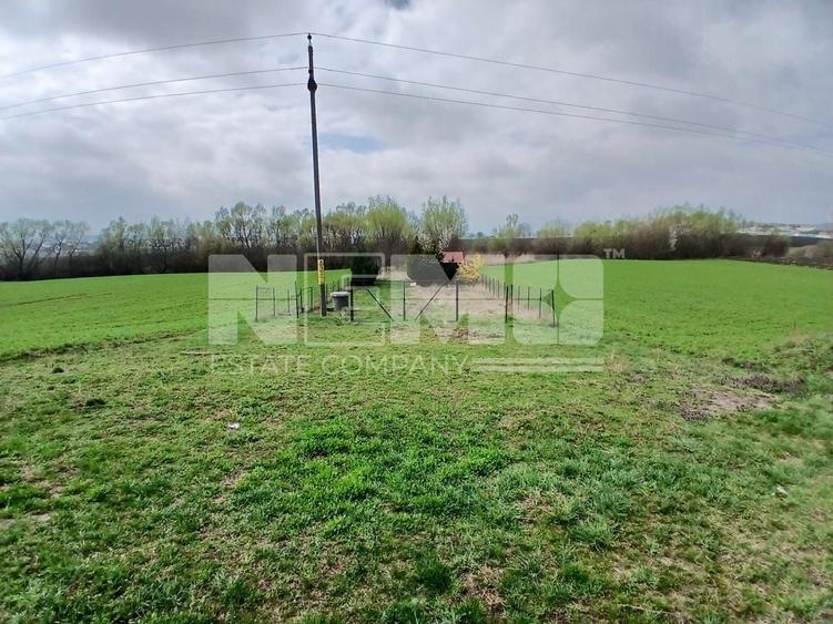 Teren agricol extravilan de 4100 mp, în Burdujeni