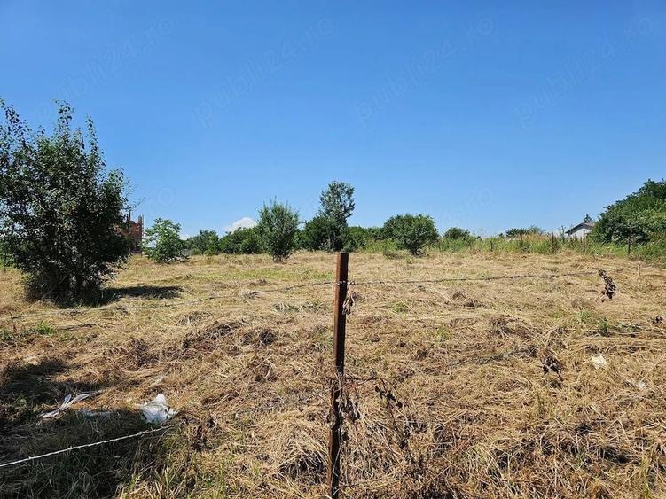 Teren Construcții intravilan de 5000 mp, în Giulești